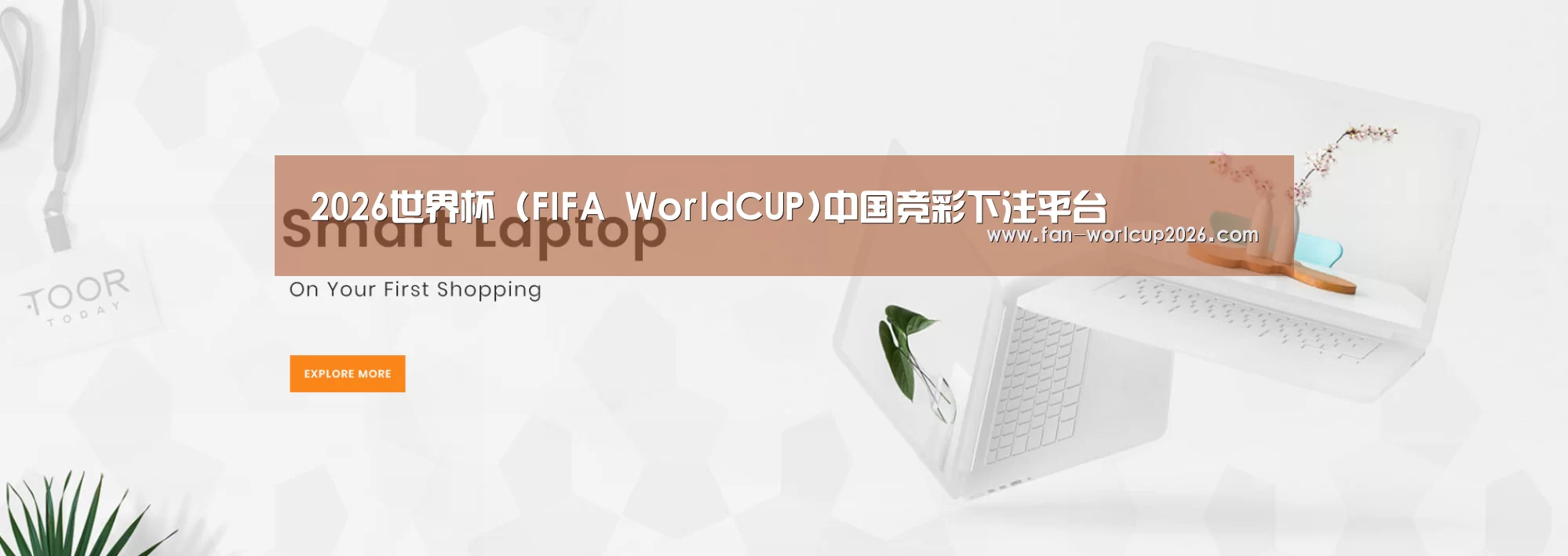 某某网络科技有限公司