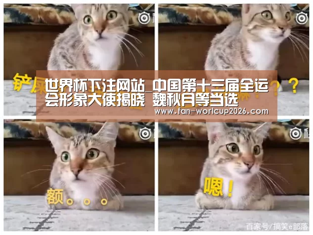 世界杯下注网站_中国第十三届全运会形象大使揭晓 魏秋月等当选(图2) 世界杯下注网站